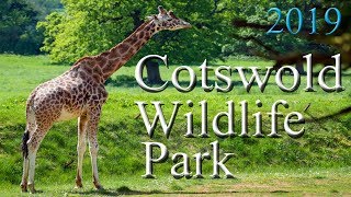 Cotswold Wildlife Park [upl. by Aibsel276]