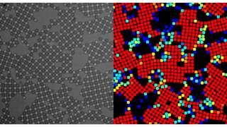 Visualizing Atoms During Phase Transition [upl. by Eisac365]