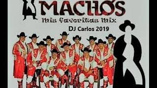 Banda Machos Mix 2019  Dj Carlos [upl. by Greabe]