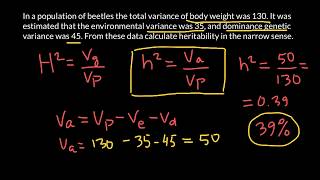 How to Calculate Narrow Sense Heritability [upl. by Arun]