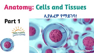 Physiology of Cardiovascular System Part 2 Helpful Video Lecture in Amharic Speech Watch it [upl. by Danni]