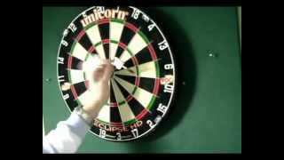 Darts Caddy Portable Dartboard Stand Review [upl. by Roobbie]