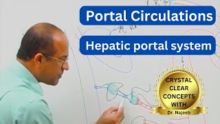 Portal Circulation  Digestive Tract Liver and Kidneys 👨‍⚕️ [upl. by Morry]