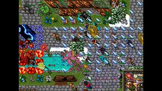 CRAZIEST TIBIA SERVER IN THE WORLD  ONLINE FOR 20 YEARS [upl. by Beacham]