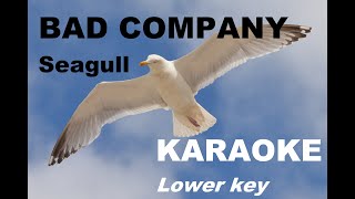 BAD COMPANY  SEAGULL LOWER KEY  ACOUSTIC  KARAOKE [upl. by Jemena977]