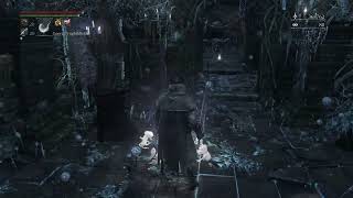 Bloodborne Dungeon huy83p9r [upl. by Addia660]