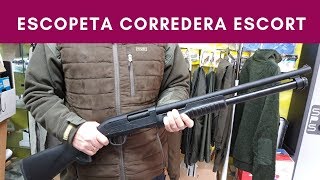 Escopeta Corredera Hatsan Escort calibre 12  Deportes Tera [upl. by Aroved76]