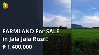 FARMLAND For SALE in Jala Jala Rizal [upl. by Sel]