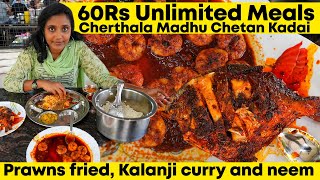 60Rs Unlimited Meals Cherthala Madhu Seafood Restaurant I Tastee with Kiruthiga [upl. by Tiga]