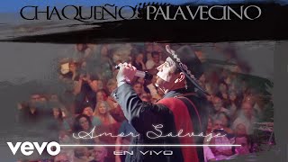 Chaqueño Palavecino  Amor Salvaje [upl. by Naraj]