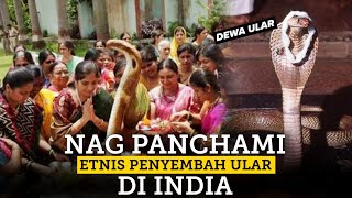 Nag Panchami Etnis Penyembah Ular Di India amp Penyembah Lainnya [upl. by Ramuk842]