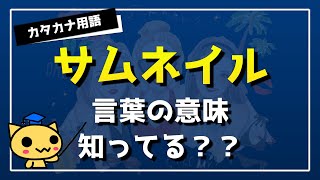 Youtube サムネイルとは？ サムネイルってどんな意味？重要？ 【 知っているようで知らないカタカナ用語その① 】 [upl. by Naillik]