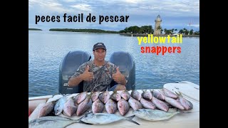 cojimos el limite de las rabi 🐟rubias 🐟yellowtail🛥 snappers EP193 [upl. by Norvun]