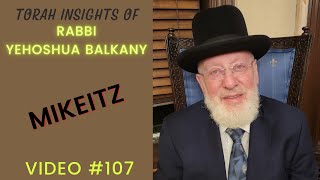 Torah Insights of Rabbi Balkany Mikeitz Video 107 [upl. by Nic126]