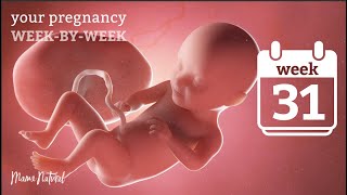 31 Weeks Pregnant  Natural Pregnancy WeekByWeek [upl. by Dinesh255]