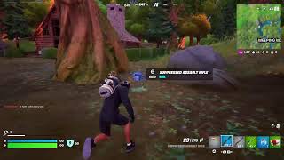 Fortnite with Magoogala [upl. by Cirderf426]