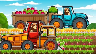 Farm Works And Tractor Dewulf Harvesting Beetroot amp Redbeet  Vehicles Farm [upl. by Nnaitsirk]