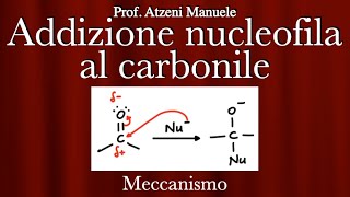 Addizione nucleofila al gruppo carbonilico L99 ProfAtzeni ISCRIVITI [upl. by Laekcim261]