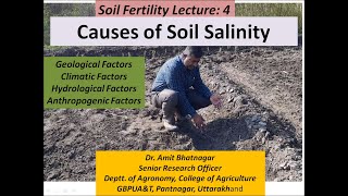 Causes of Soil Salinity [upl. by Sarnoff35]