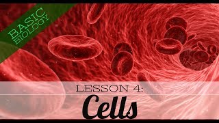 Basic Biology Lesson 4 Cells GCSE Science [upl. by Ahsila421]