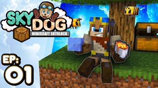 Comienza la AVENTURA EN EL CIELO 🐶☁️  SKY DOG 01 Minecraft [upl. by Oivat]