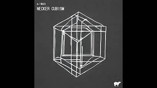 ATweed  Necker Cubism Inside Out Records [upl. by Oiram354]