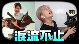 我崩潰了！全球最感人的影片！保證你憋不住【忍哭挑戰4】｜技安 [upl. by Gideon]