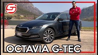 SKODA OCTAVIA a METANO 2021  Lelettrico può attendere PROVA e CONSUMI REALI Wagon GTEC [upl. by Nevaed]