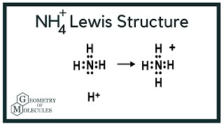 NH4 Lewis Structure Ammonium Ion [upl. by Etteuqal611]