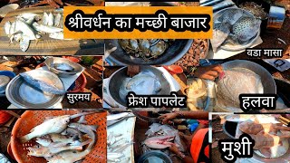 shrivardhan fish market  श्रीवर्धन मछली बाजार [upl. by Haveman758]