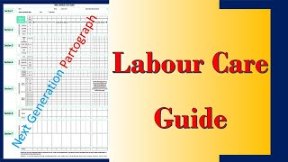 WHO Labour Care Guide  What is the Differences Between Partogram and Labour Care Guide [upl. by Ecile79]