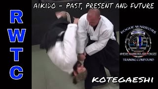 Most effective wrist lock in aikido [upl. by Lief584]