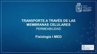 Permeabilidad de Membranas  Fisiología I  Medicina [upl. by Ekul]