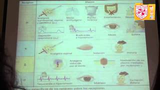 Farmacologia  Opioides [upl. by Lucita]