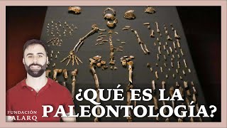 ¿Qué es la Paleontología ¿Qué hace una Paleontólogo ¿Cuántas subdisciplinas existen [upl. by Scot]