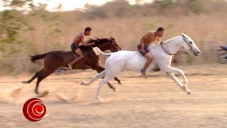 HORSE RACING  CARRERA DE CABALLOS 🐎 🏁 🐎 RECOPILACIÓN 4 [upl. by Boris447]