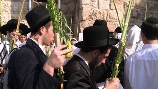 Israeli Jews celebrate Sukkot in Jerusalem [upl. by Navap]