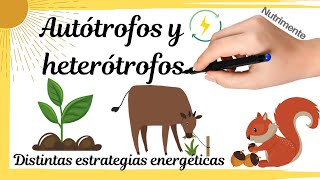 HETERÓTROFOS y AUTÓTROFOS Distintas estrategias energéticas [upl. by Neliac242]