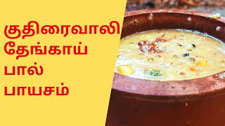 குதிரைவாலி தேங்காய் பால் பாயசம்  Kuthiraivali amp Coconut Milk Payasam Recipe [upl. by Atteram]