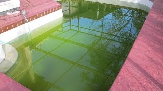 How to Clear Up Green Swimming Pool Water Pt 2 [upl. by Zurciram]