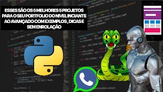 Construa um PortfÃ³lio Vencedor com Estes 5 Projetos em Python [upl. by Ailel]