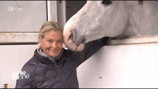 Was tun wenn ein Pferd um sich tritt  Andrea Kutsch im ZDF [upl. by Fabyola437]