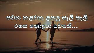 Sithaka Pembara සිතක පෙම්බර සිතුවිලි Male Version  Karaoke [upl. by Llerdna]