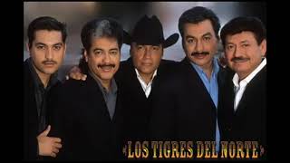 Tigres Del Norte Viejitas Mix Epicenter [upl. by Llesirg]