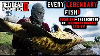 Red Dead Redemption 2  Catch EVERY LEGENDARY Fish Location Guide  Secret of the CHANNEL CATFISH [upl. by Gard]