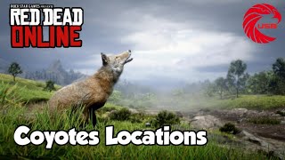 Coyotes rdr2 Online Locations  Red Dead Online Coyotes Location Guide [upl. by Clarisse614]