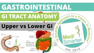 USMLE Step 1  Gastrointestinal GI Tract Anatomy Upper vs Lower GI  MedSmarter [upl. by Nujra]