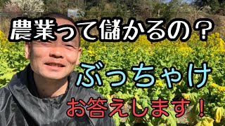 【農業って儲かるの？】みんなに聞かれるから答えます [upl. by Alehtse]