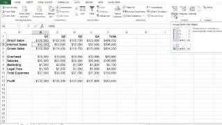 Microsoft Excel  Auto Outline [upl. by Eissirk]