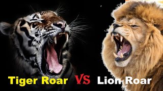 Tiger Roar VS Lion Roar  Tiger Roar VS Lion Roar Which is The Best [upl. by June468]